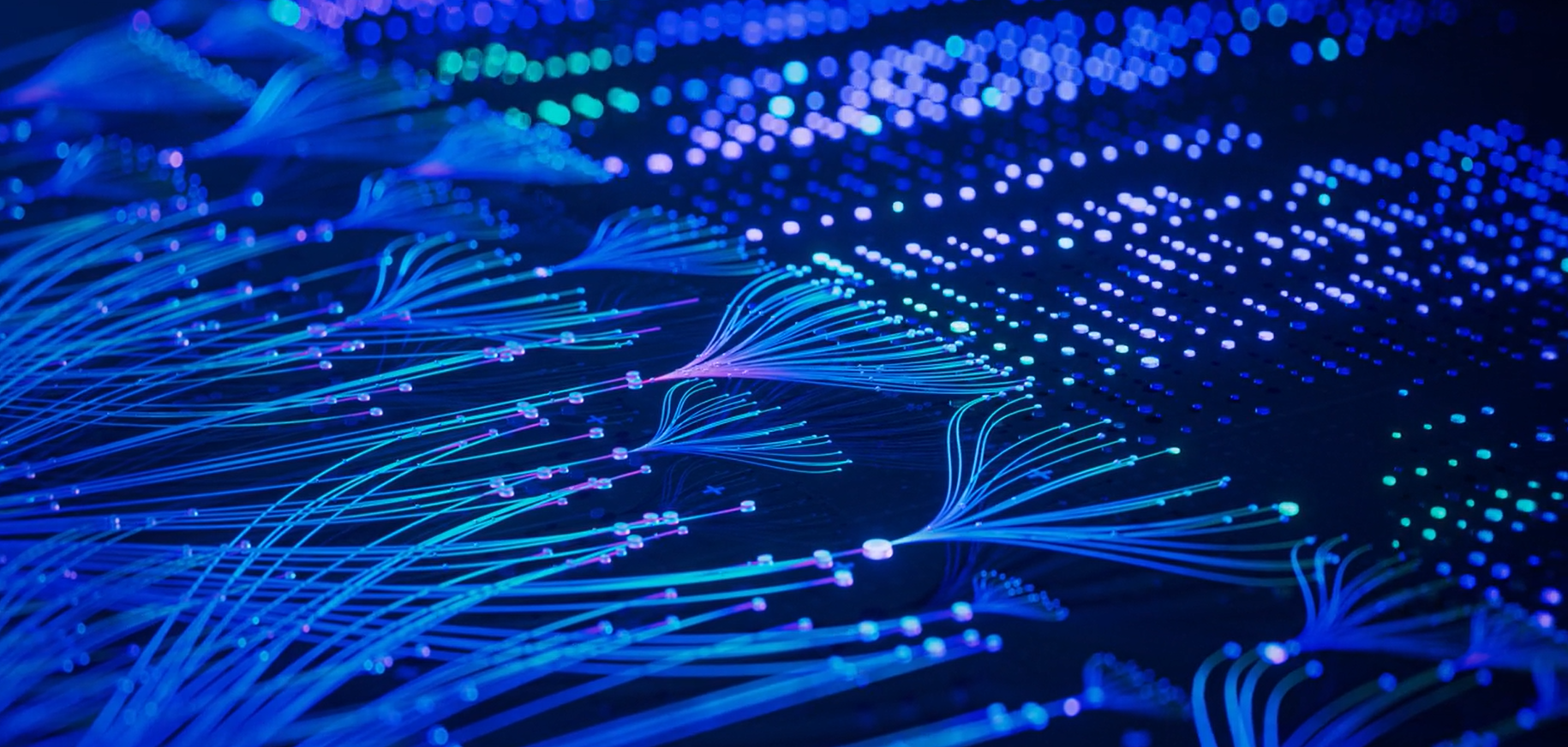 Forces shaping 2025 ebook cover